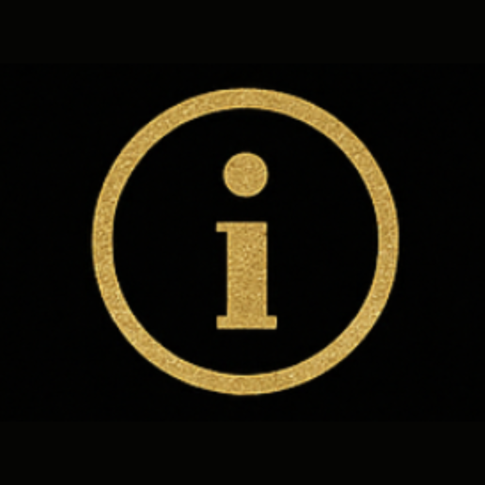 Company info icon